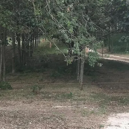 Quinta Do Soldado * Albergaria-a-Velha