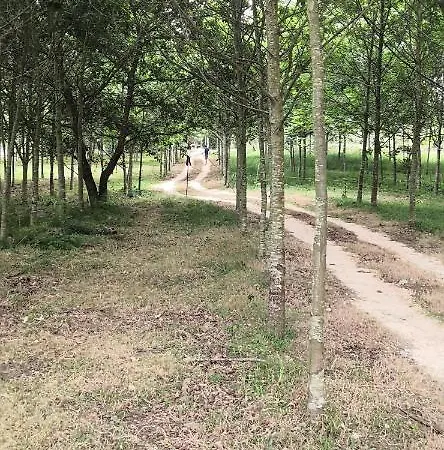 Quinta Do Soldado Dom wakacyjny