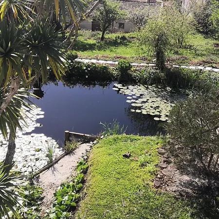 Quinta Do Soldado Holiday home *