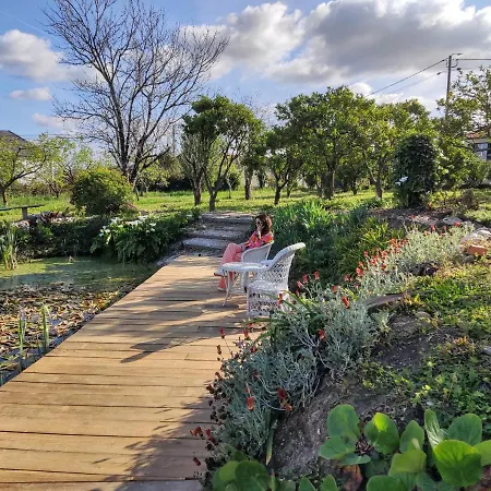 Quinta Do Soldado Albergaria-a-Velha