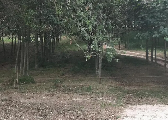 Quinta Do Soldado * Albergaria-a-Velha