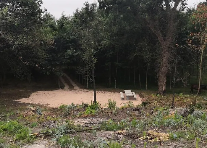 Quinta Do Soldado Casa vacanze