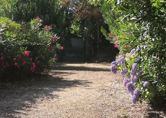 Casa vacanze Quinta Do Soldado Albergaria-a-Velha