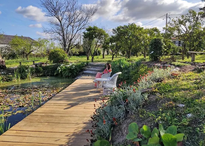 Quinta Do Soldado Albergaria-a-Velha